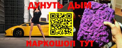 крисы Камышлов