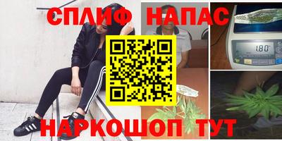 крисы Камышлов