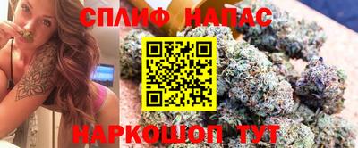крисы Камышлов