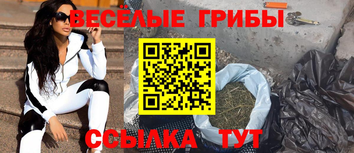 Псилоцибиновые грибы Psilocybe  Вход с VPN  Ярцево 